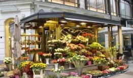 唐山爆料花店小伙子视频,温馨瞬间感动网友